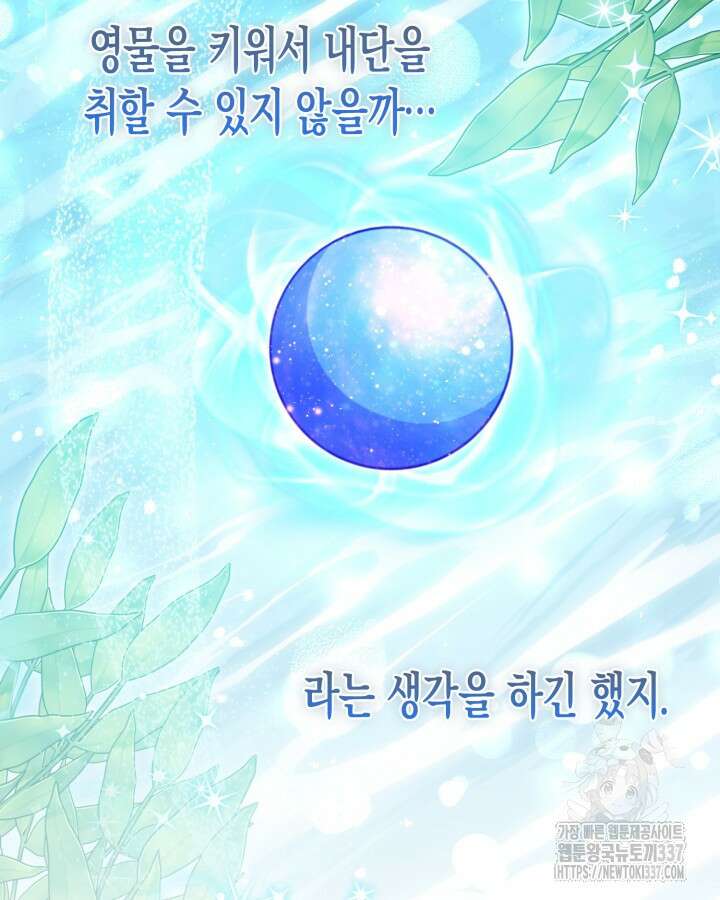 몰락 세가의 시한부 영약 13화 17