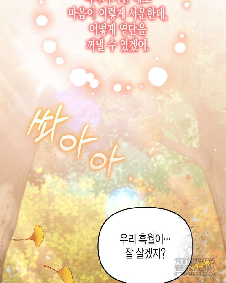 몰락 세가의 시한부 영약 13화 19