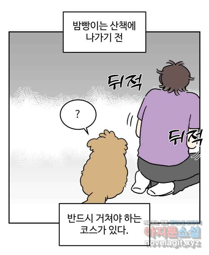 강아지는 멍멍하고 짖지 않아! 93화 - 강아지와 옷 1