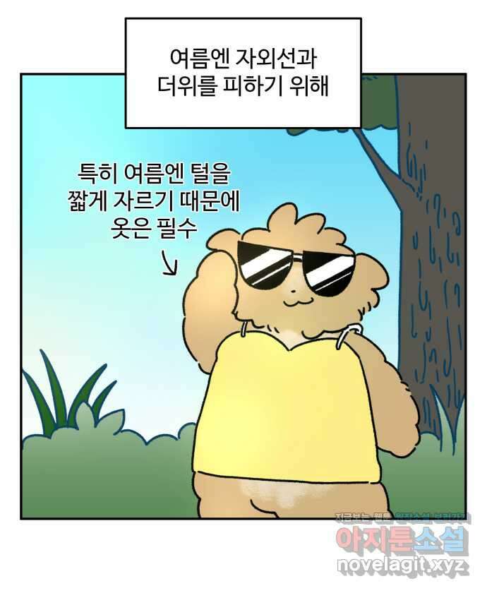 강아지는 멍멍하고 짖지 않아! 93화 - 강아지와 옷 3