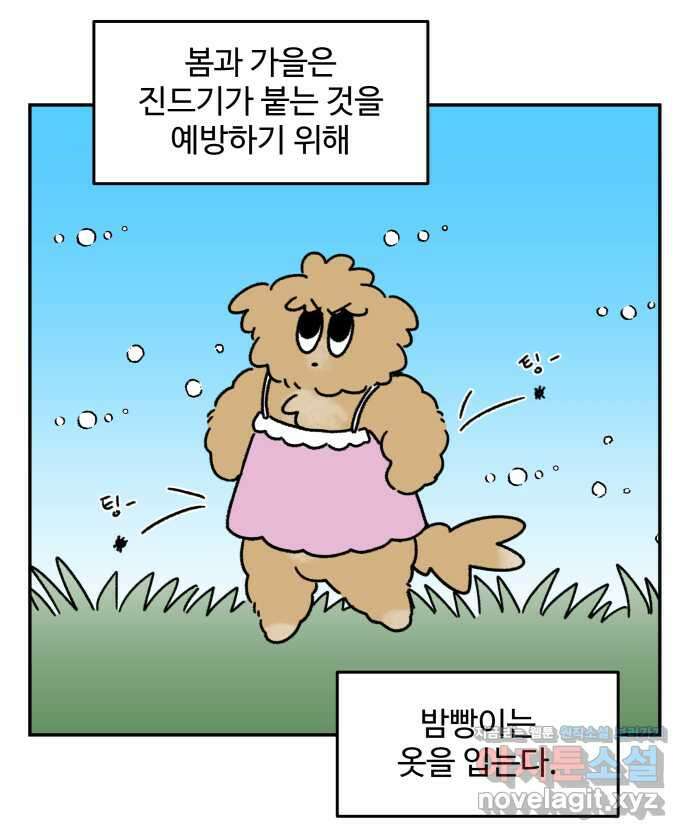 강아지는 멍멍하고 짖지 않아! 93화 - 강아지와 옷 5