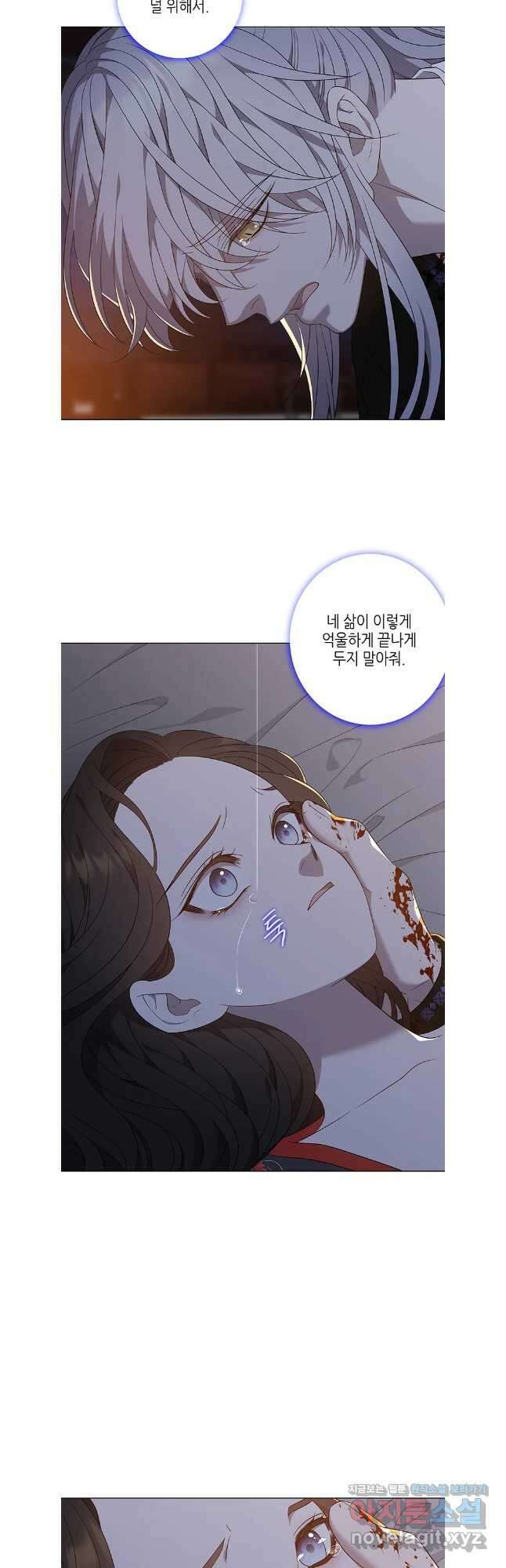 구애, 여우를 홀리다 81화 47