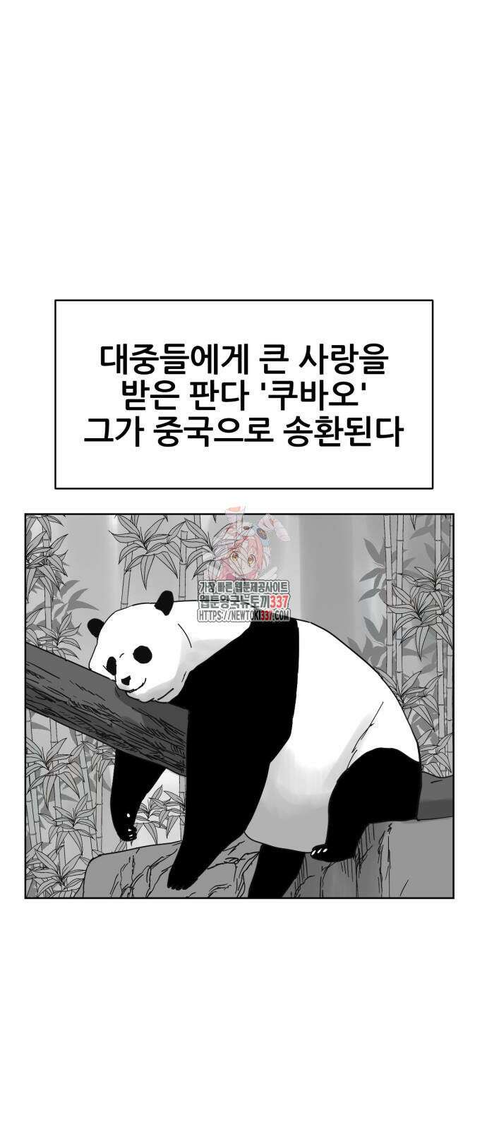 괴양이 46화 1