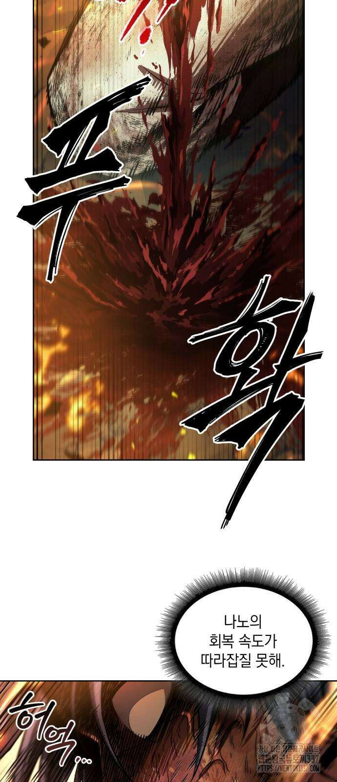 나노마신 208화 6