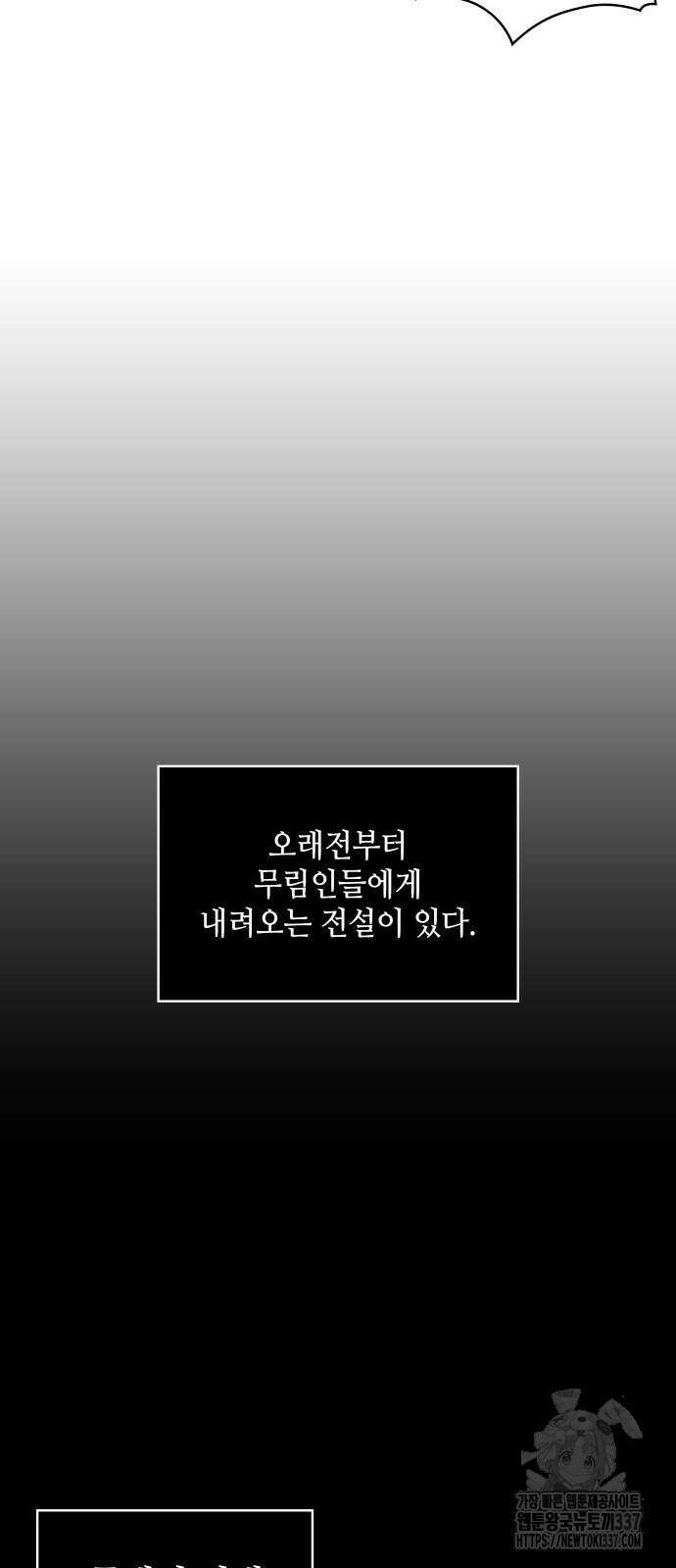나노마신 208화 39