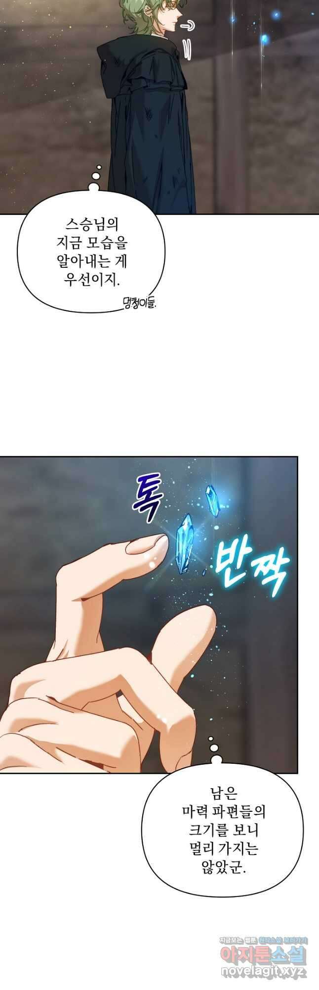 흑막 남주의 시한부 유모입니다 40화 36