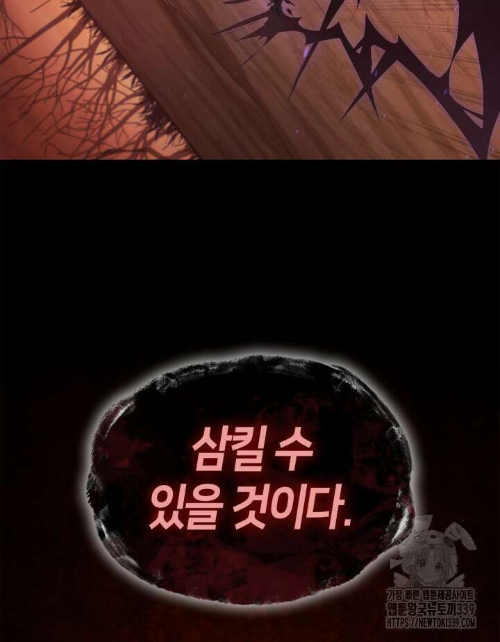 무한의 마법사 68화 21