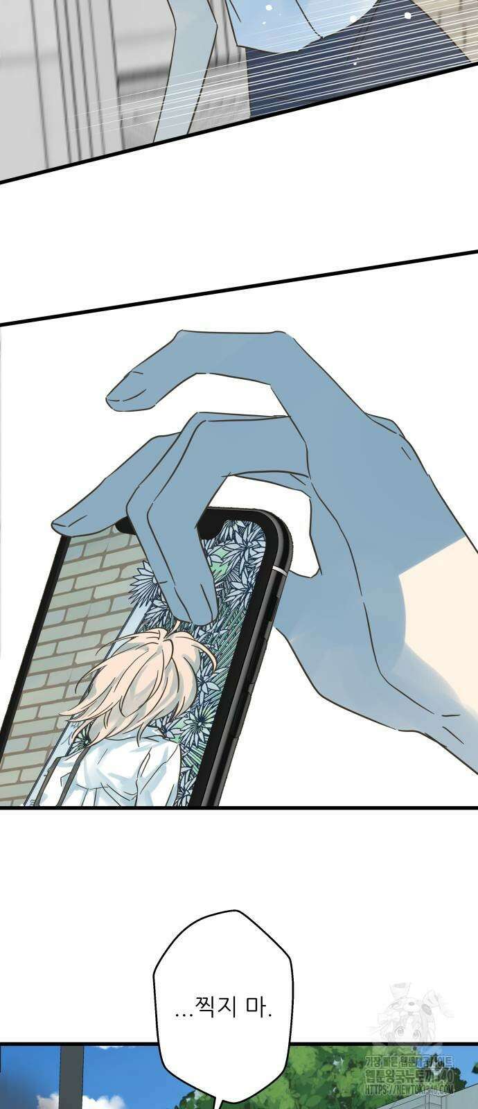 칼가는 소녀 196화 4