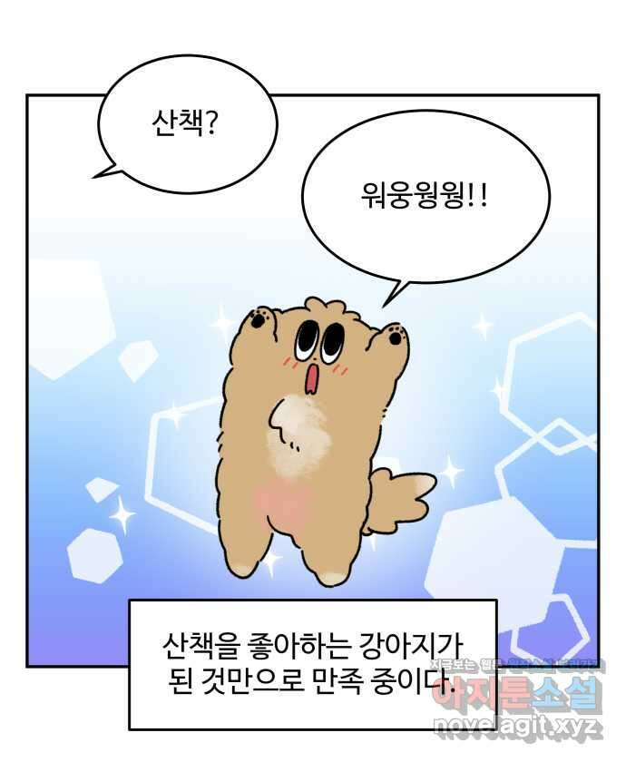 강아지는 멍멍하고 짖지 않아! 98화 - 산책이 싫어! 2 21
