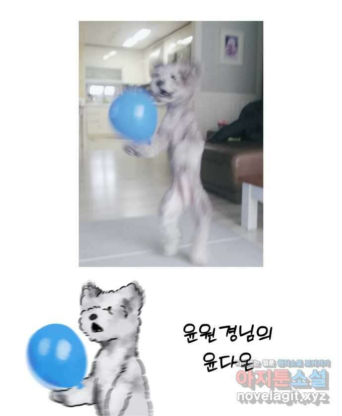 강아지는 멍멍하고 짖지 않아! 98화 - 산책이 싫어! 2 23
