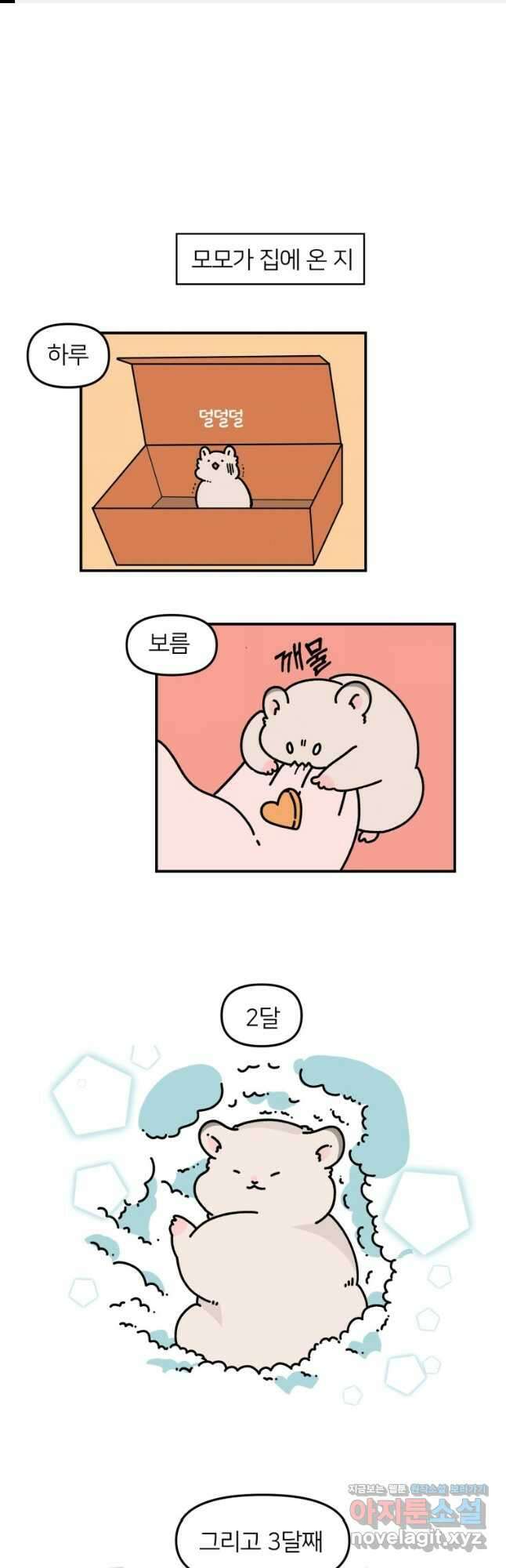 어쩌다 햄스터 14. 햄스터를 그려보자 1