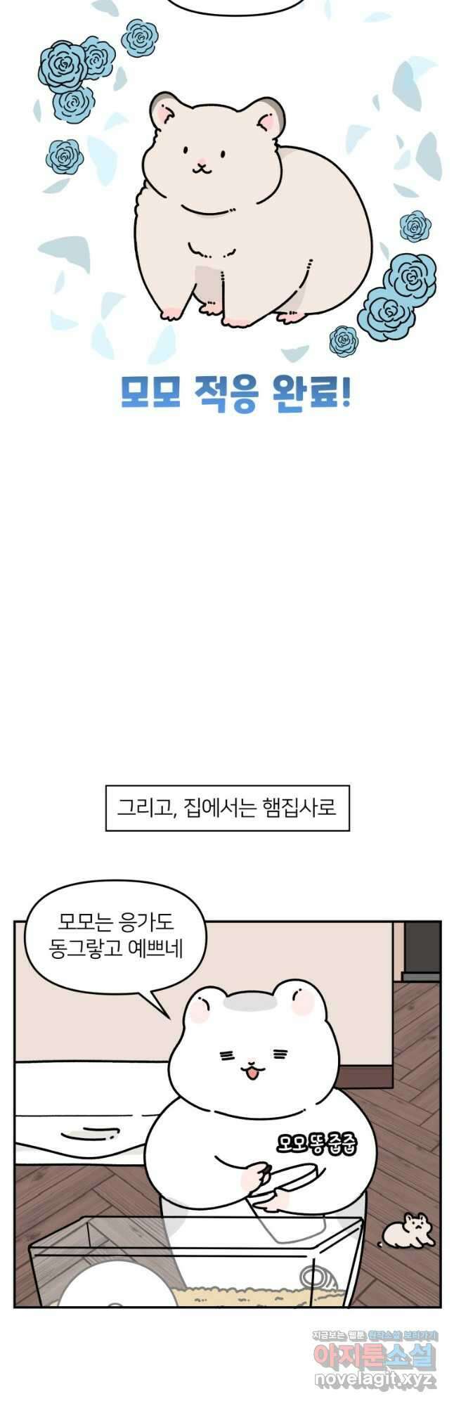 어쩌다 햄스터 14. 햄스터를 그려보자 2