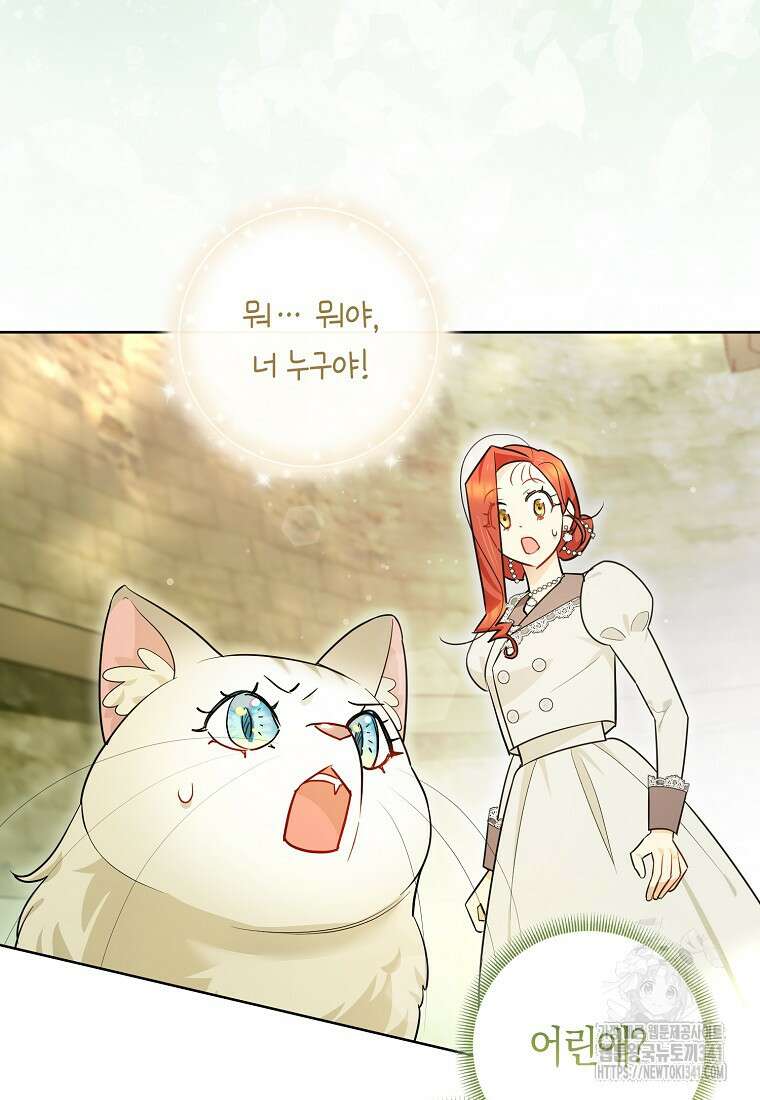 악역에 빙의했지만, 고양이나 키울래요 20화 3