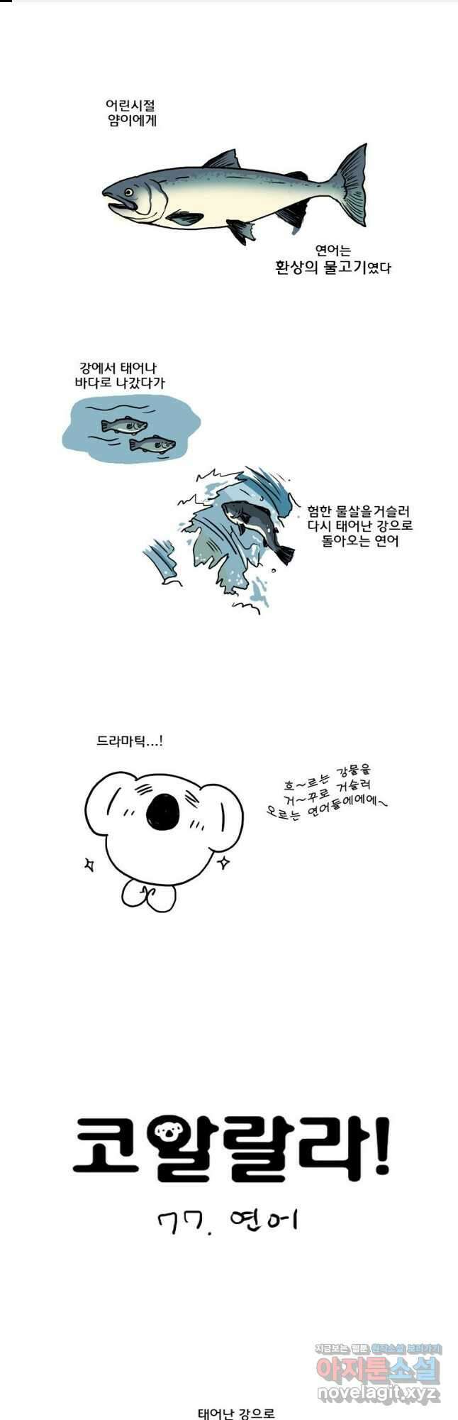 코알랄라 77화 연어 1