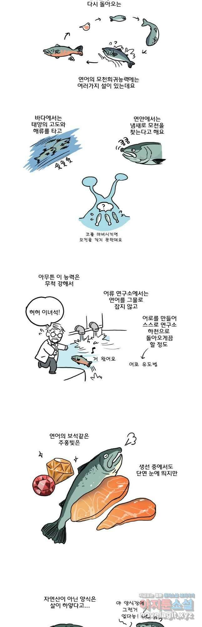 코알랄라 77화 연어 2