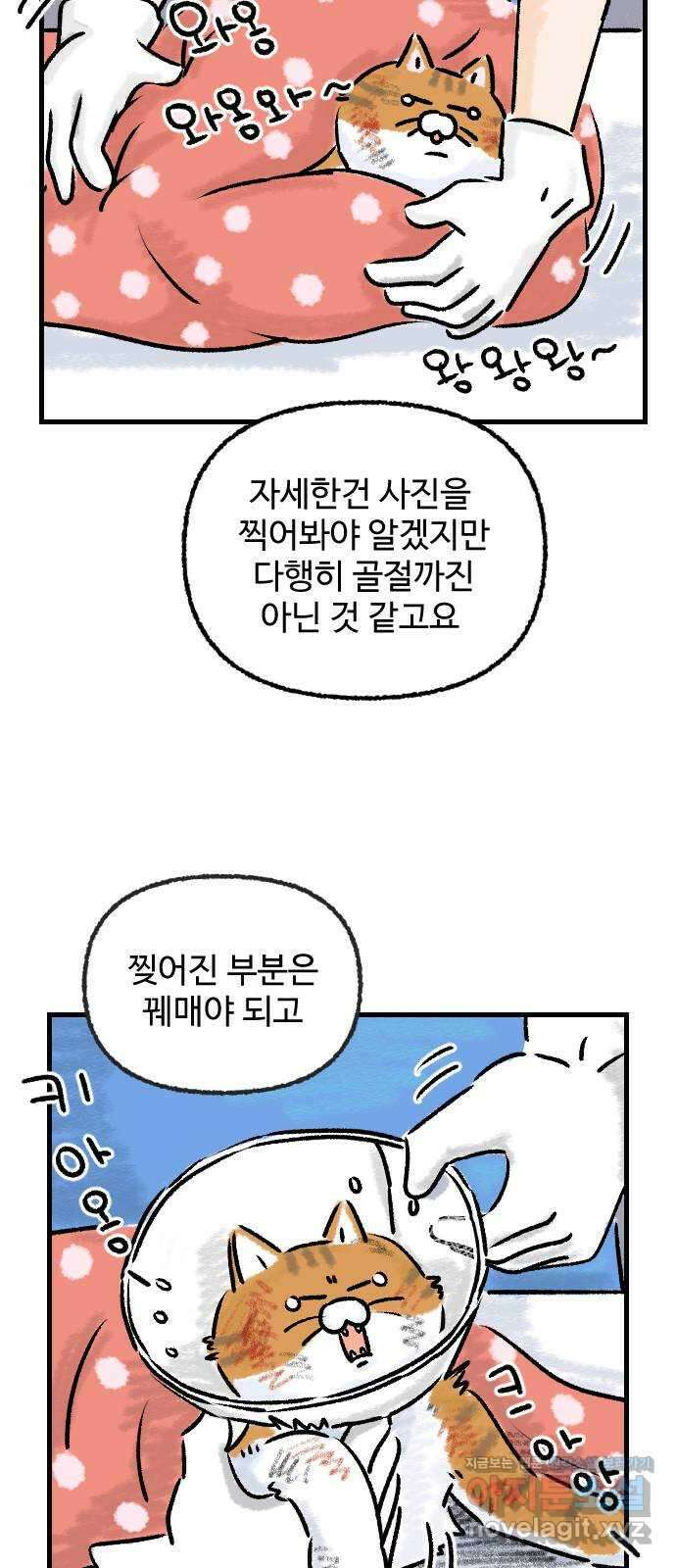 우리는 후라이족 33화 7