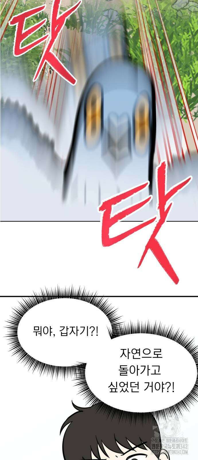 성북구 비둘기 이헌서 6화 2