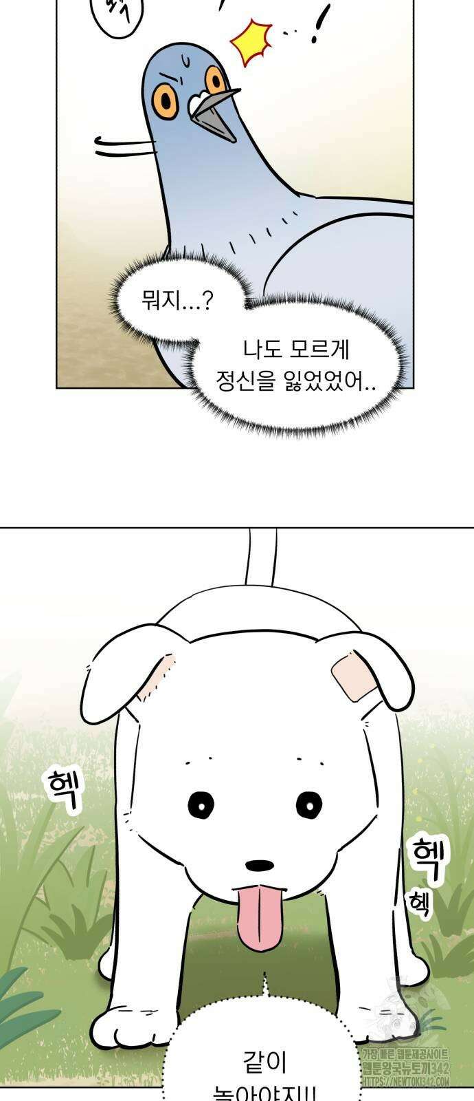 성북구 비둘기 이헌서 6화 7