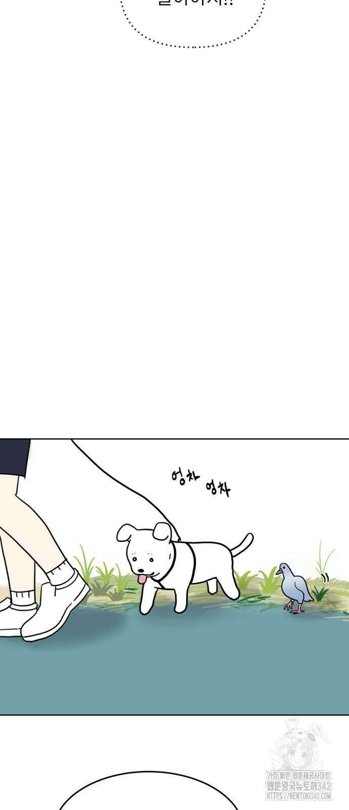 성북구 비둘기 이헌서 6화 8
