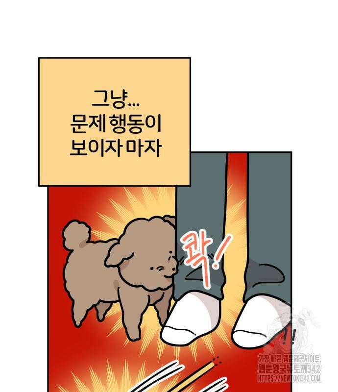 시바, 만만치 않다 4화 9