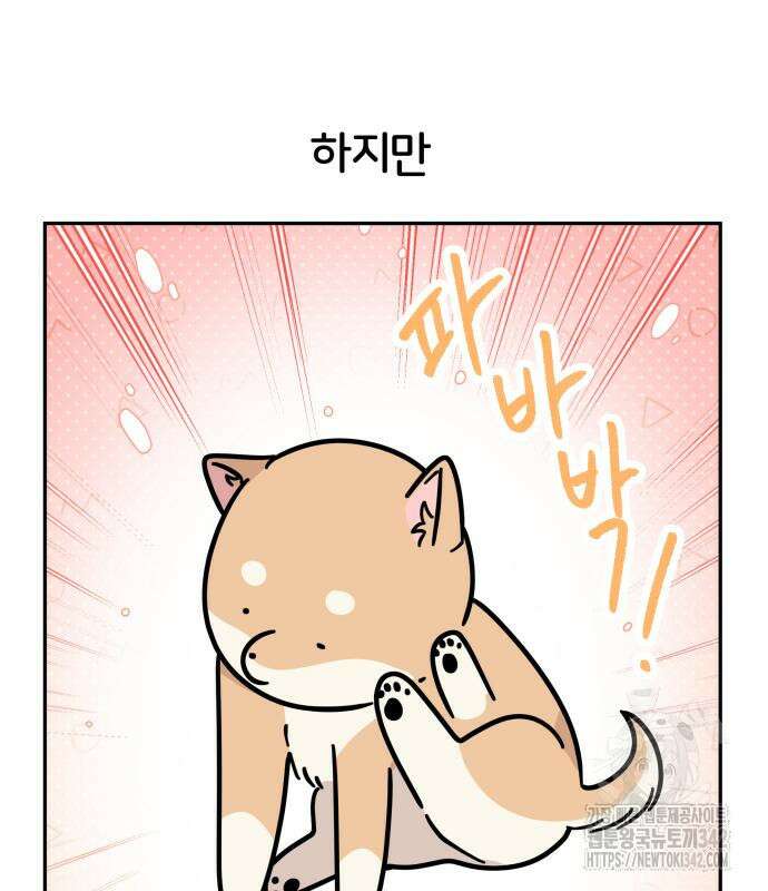 시바, 만만치 않다 4화 11