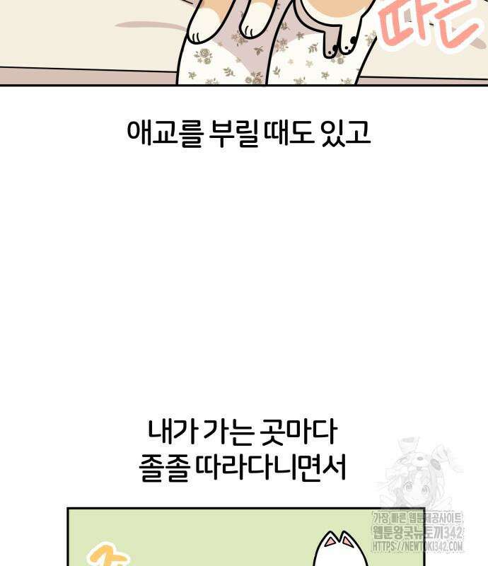 시바, 만만치 않다 4화 16