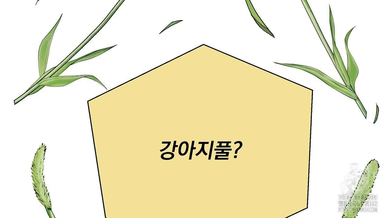 치치 시리즈 22화 22
