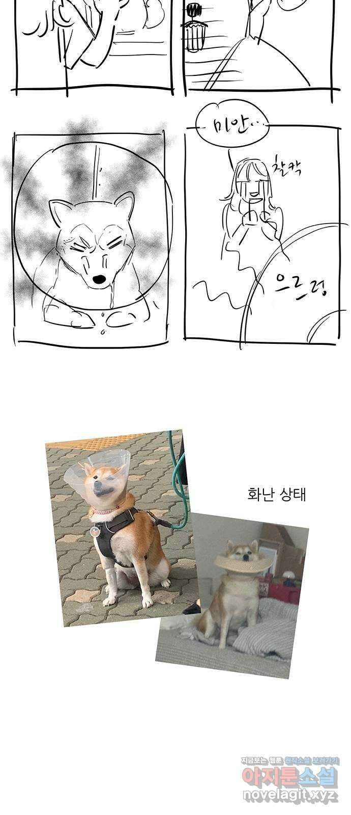 백호랑 후기만화 6