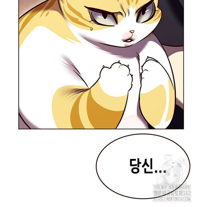 일렉시드 306화 14
