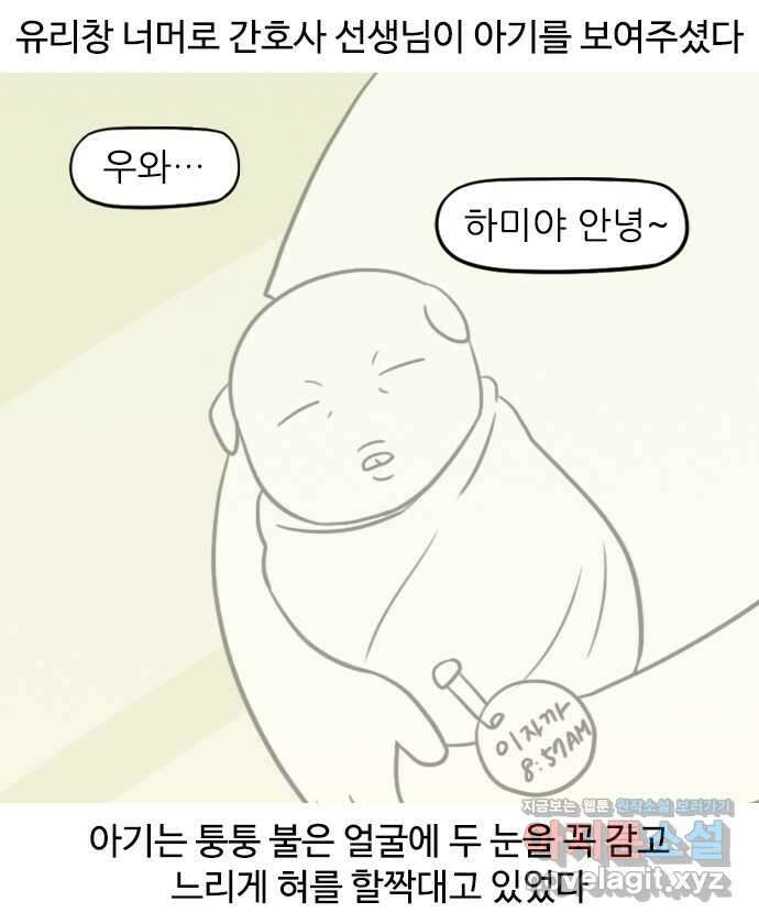 신혼일기 66화 출산(4) 2
