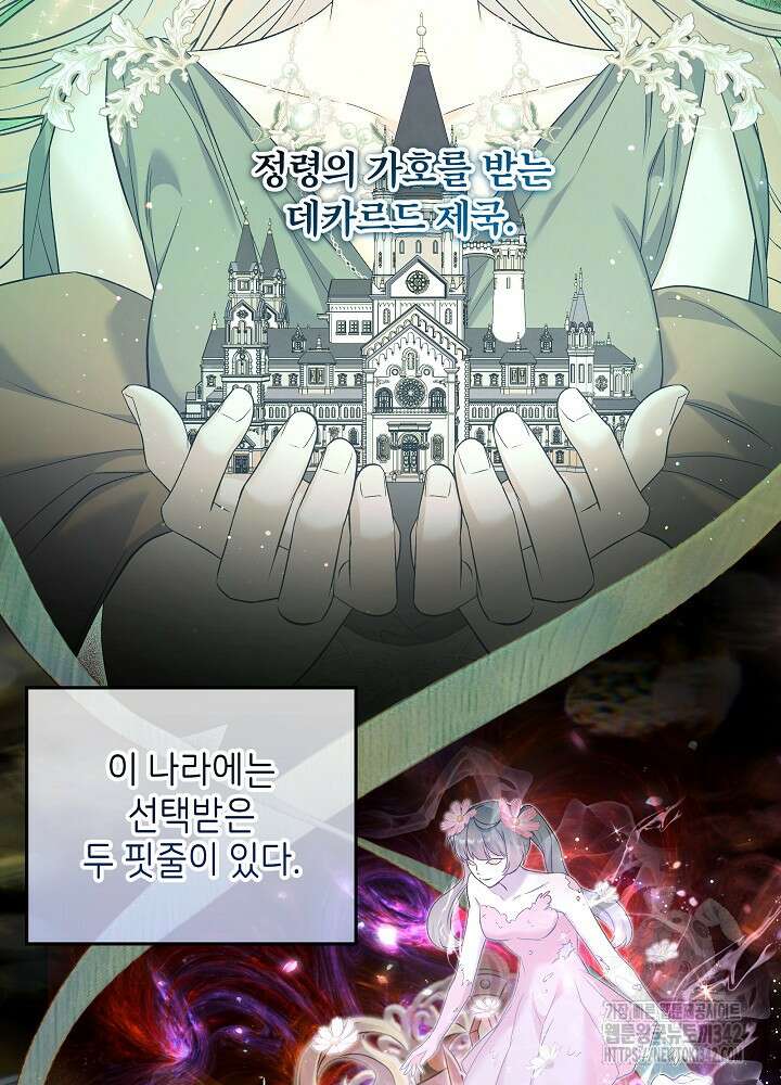 셀럽 레이디 12화 2