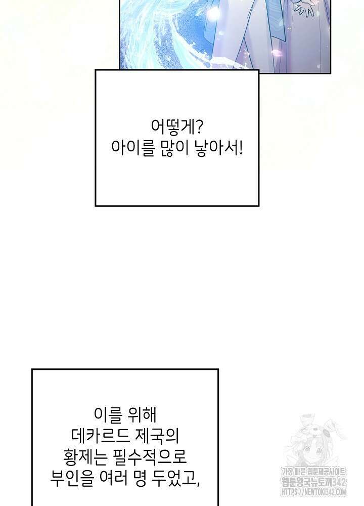 셀럽 레이디 12화 10