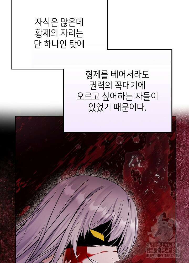 셀럽 레이디 12화 13