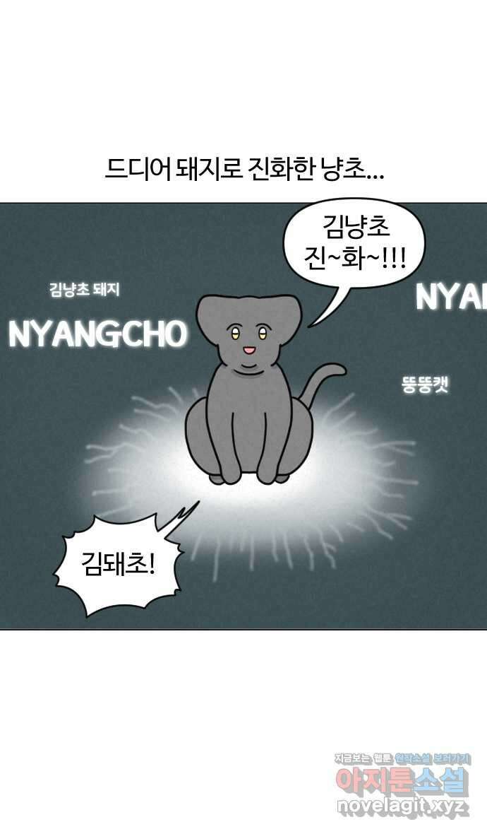 쌉초의 난 33화 불효묘와 캣휠 1