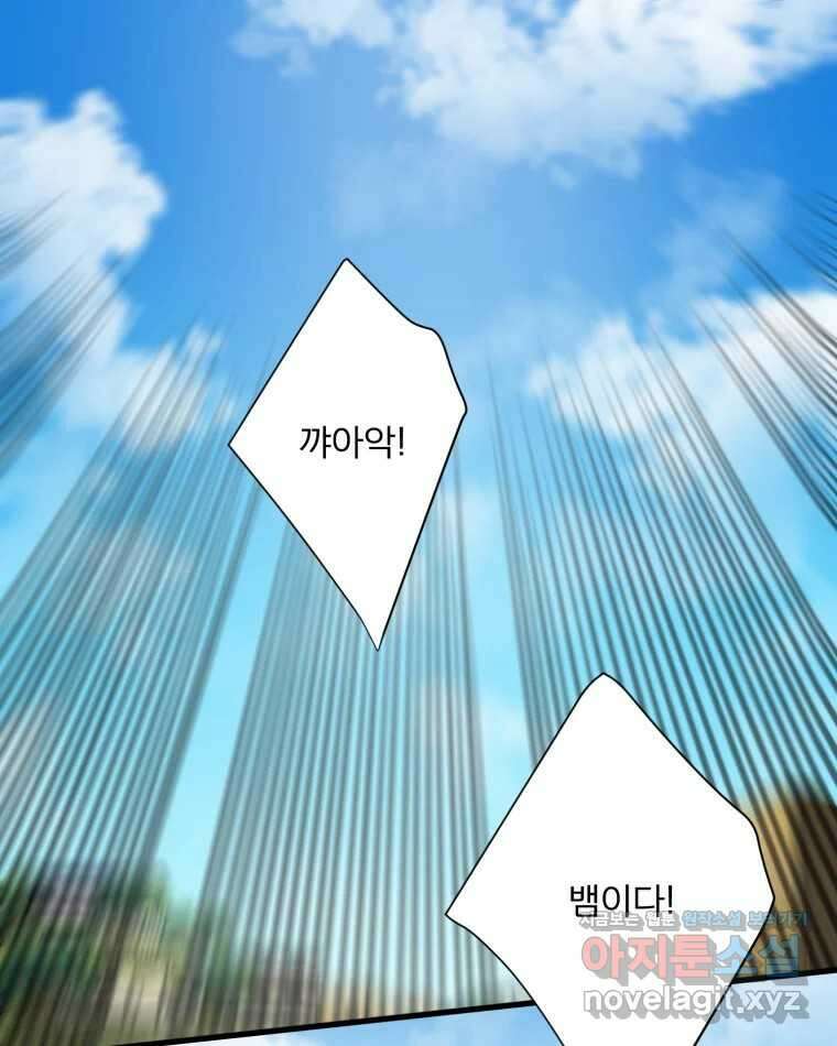 카산드라 148화 1
