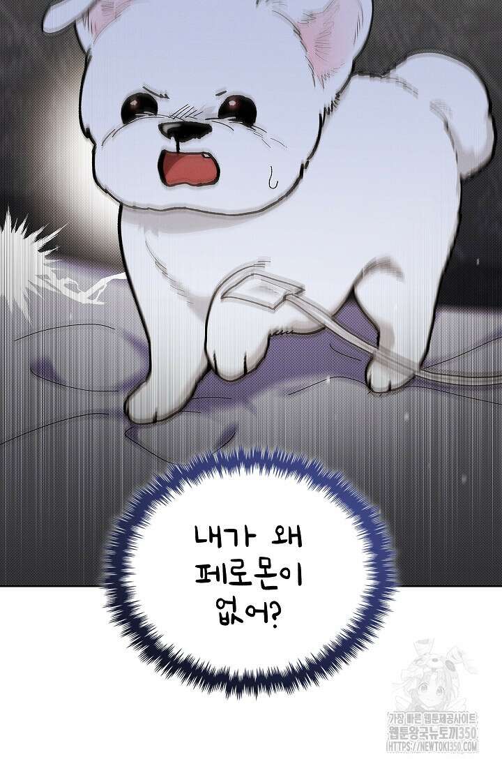강아지는 건드리지 마라 4화 7