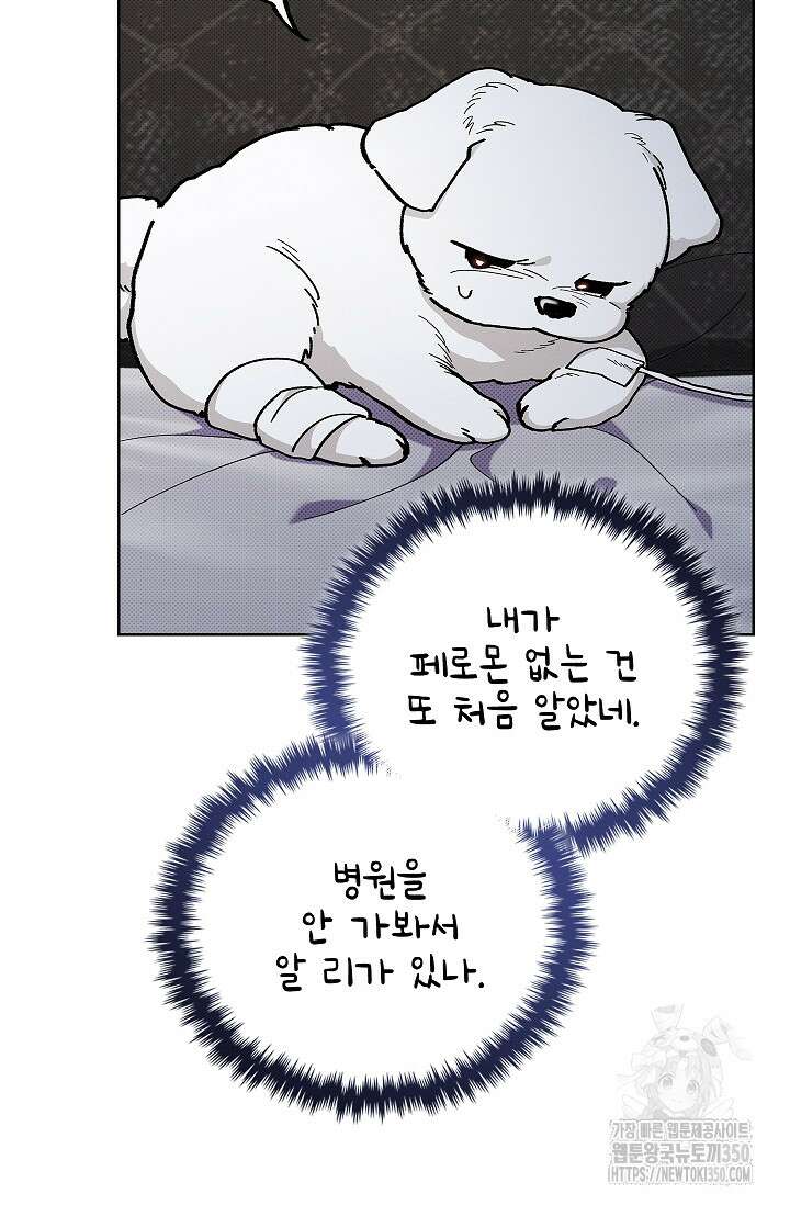 강아지는 건드리지 마라 4화 11