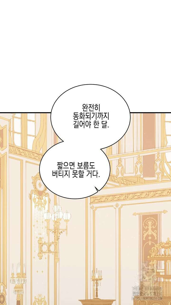 빙의물 여주의 언니입니다만 81화 3