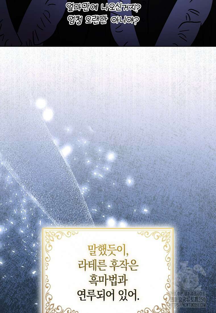 대공가의 여우 황녀님 45화 3
