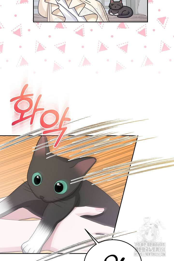 신데렐라의 마법이 풀린 후 37화 8