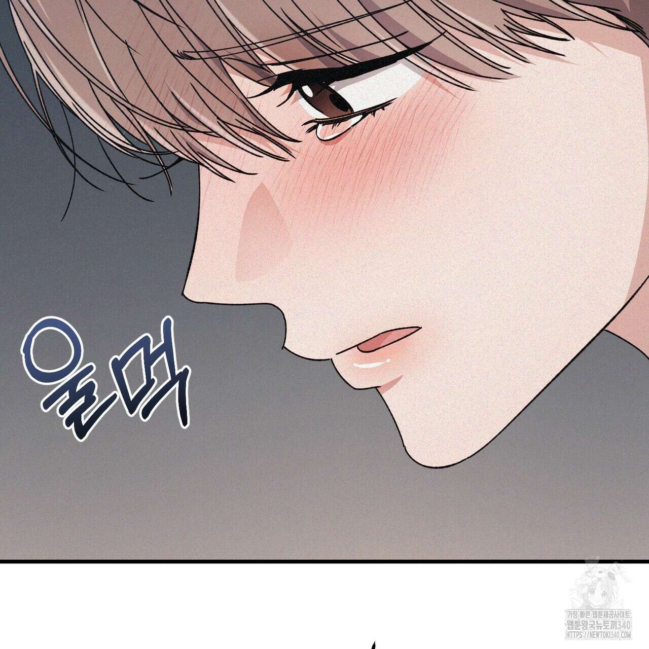폼리스 47화 35