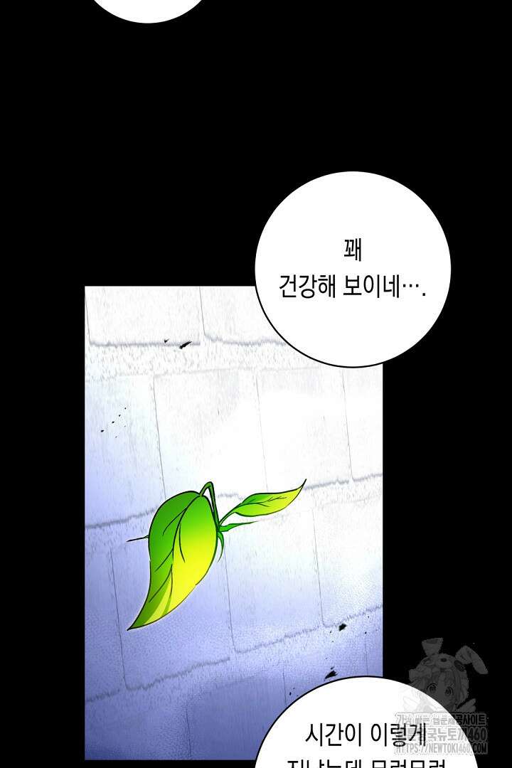 파괴하러 왔습니다 38화 14