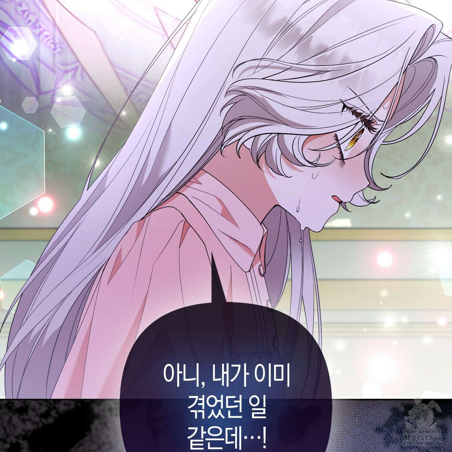 대공가의 여우 황녀님 48화 23
