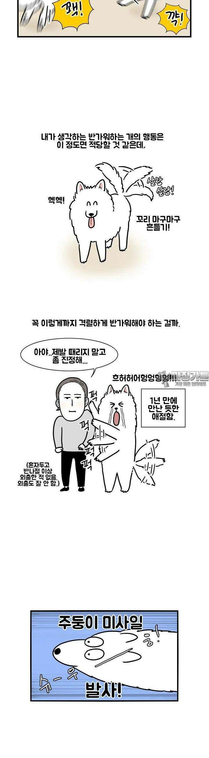 극한견주 3화 격한 반가움 3
