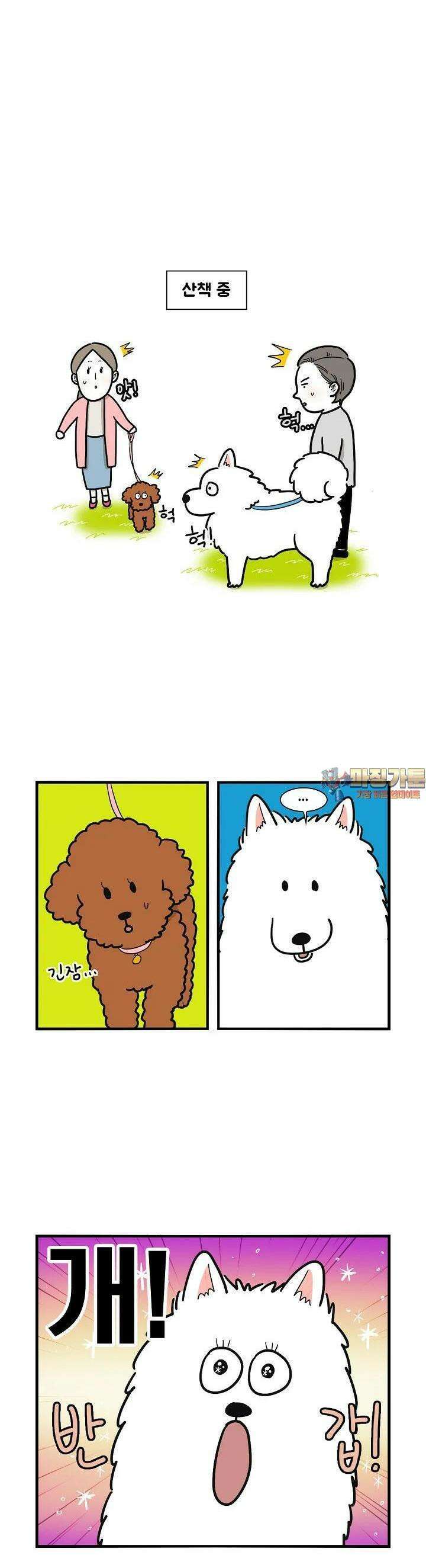 극한견주 10화 만남 1