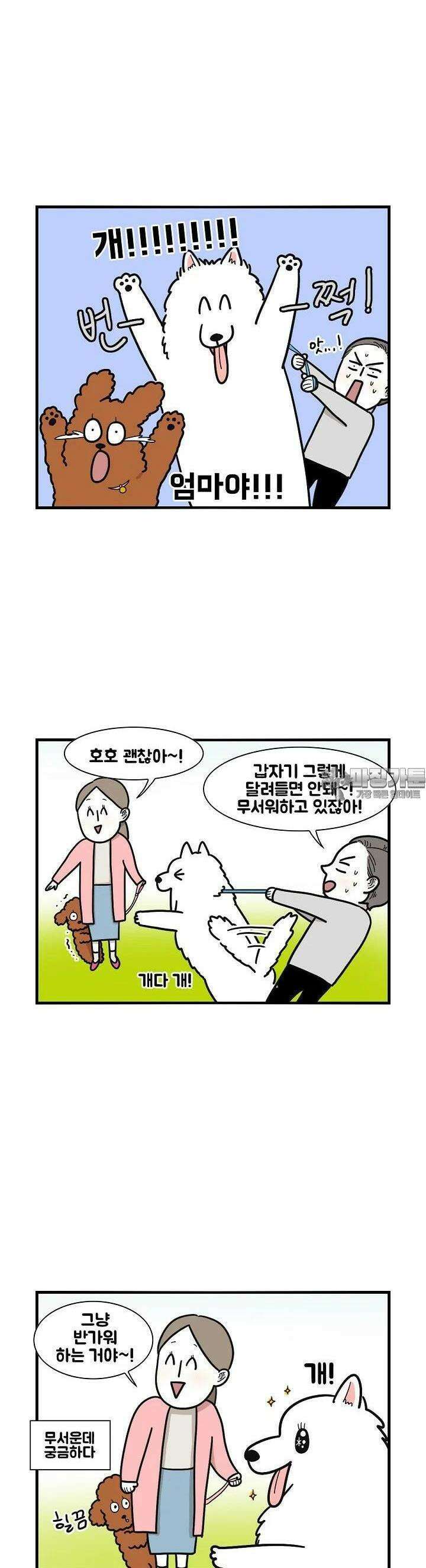 극한견주 10화 만남 2