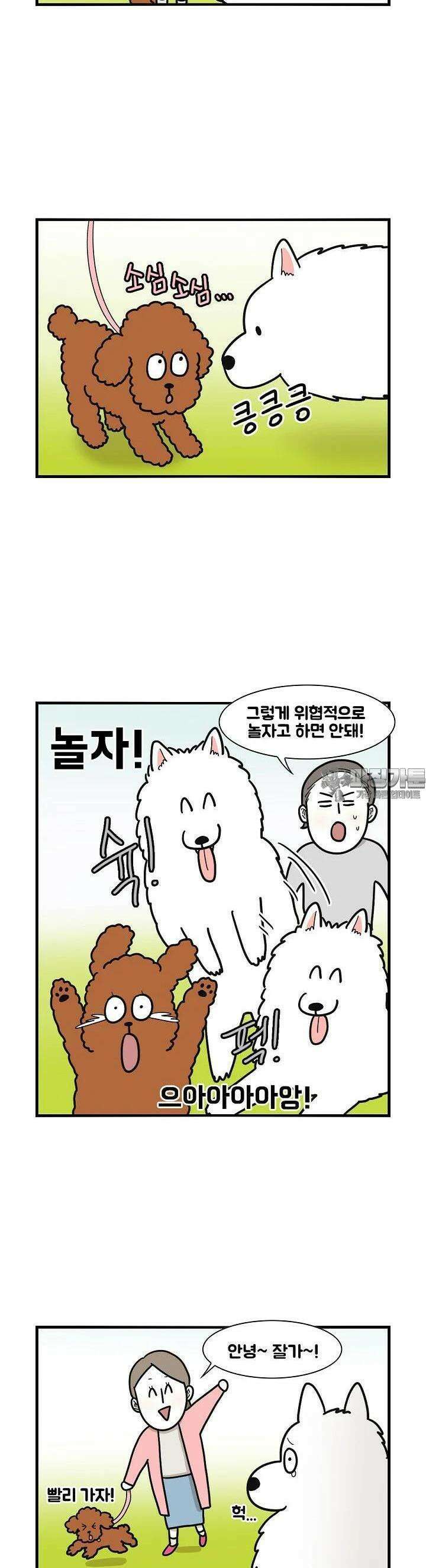 극한견주 10화 만남 3