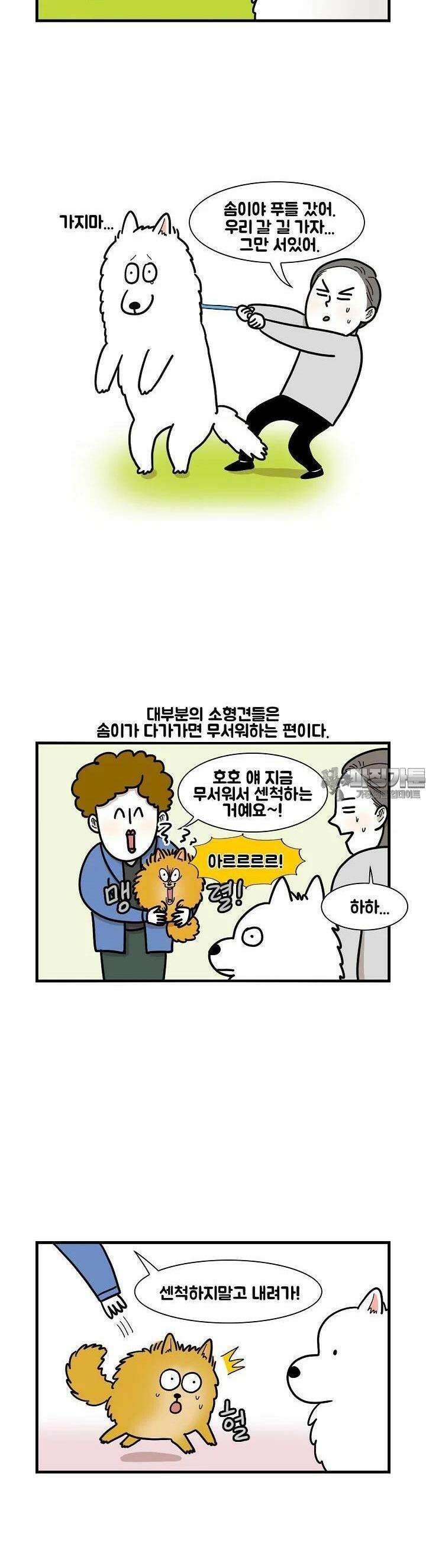 극한견주 10화 만남 4