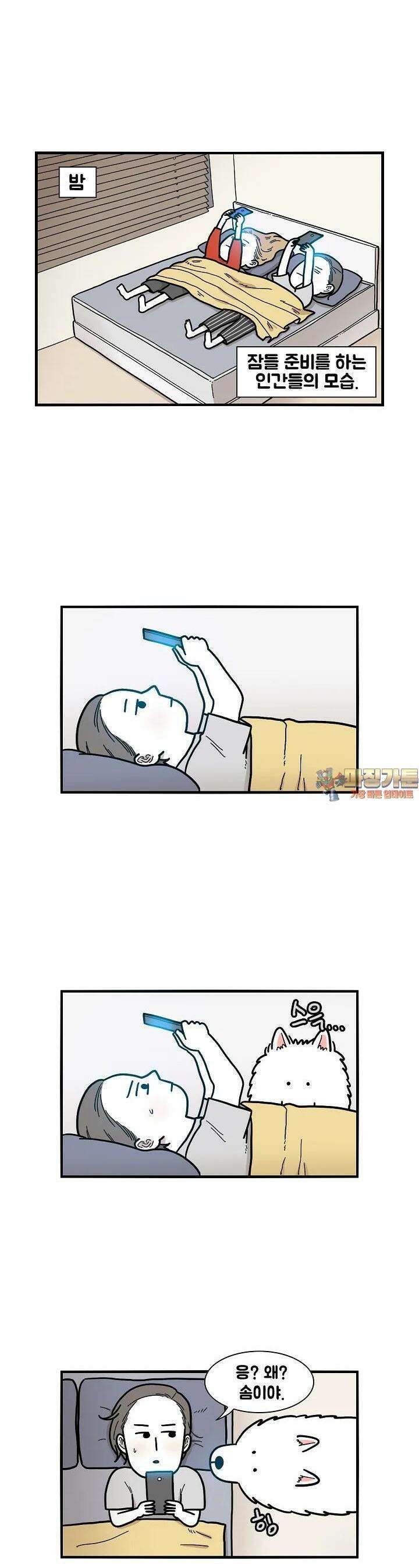 극한견주 14화 잠 1