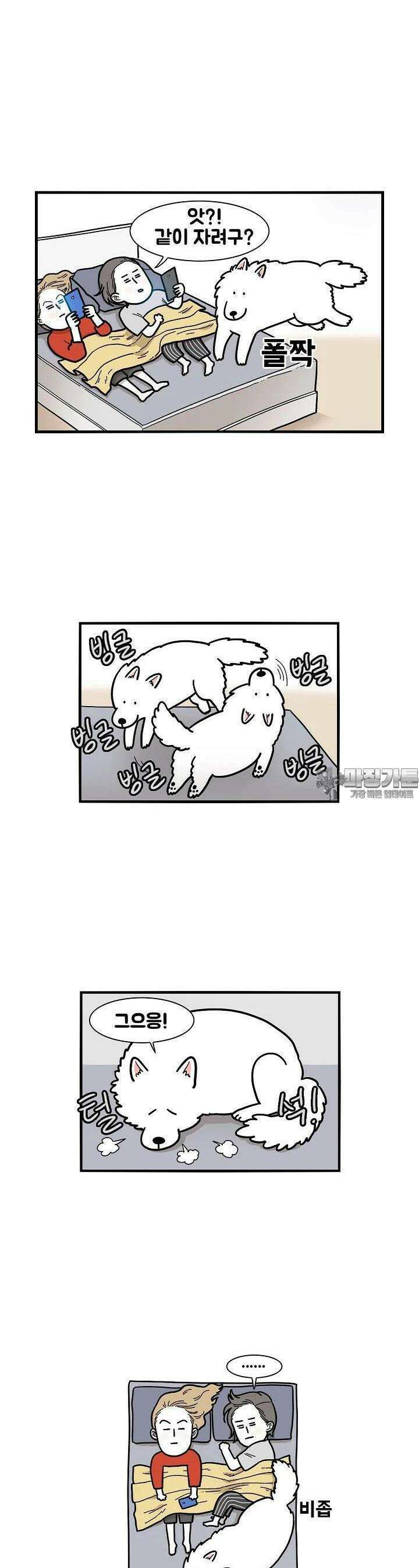 극한견주 14화 잠 2